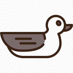 鸭子