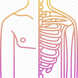 <em>生理学</em>