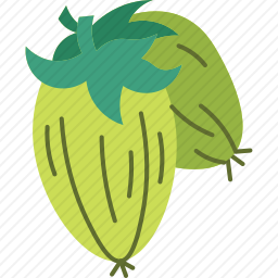 荷荷巴