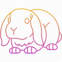 兔子