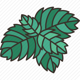 薄荷