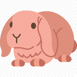 兔子