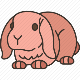 兔子