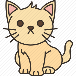 小猫