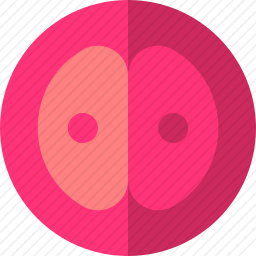 <em>卵</em>