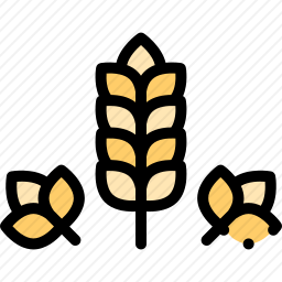 小麦