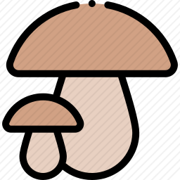 蘑菇
