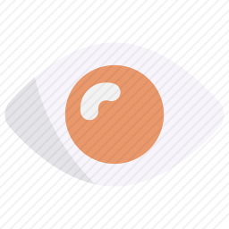 查看
