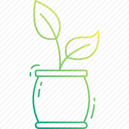 <em>盆栽植物</em>