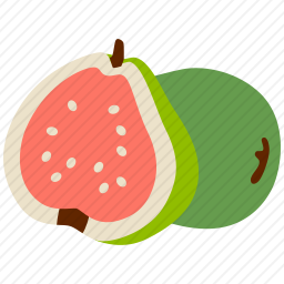 番石榴