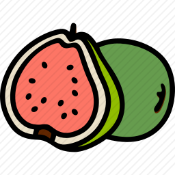 番石榴