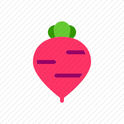 甜菜根