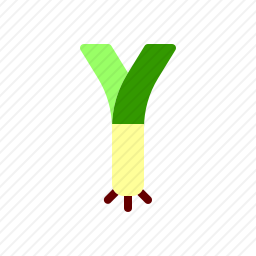 葱