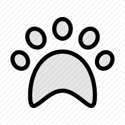 <em>爪</em>