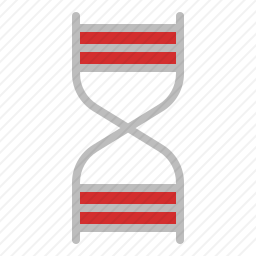 DNA