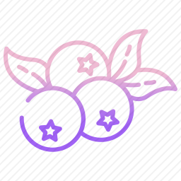 蓝莓