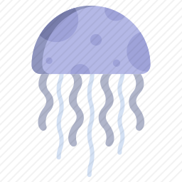 水母
