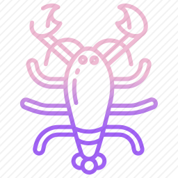 龙虾