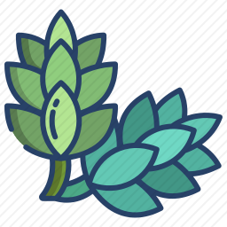 植物