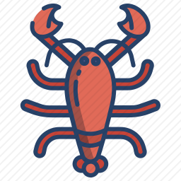 龙虾