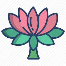 <em>变形杆菌</em><em>属</em>