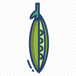 豌豆