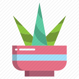 锅