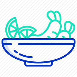 <em>沙拉</em>