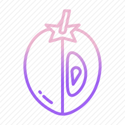 人心果