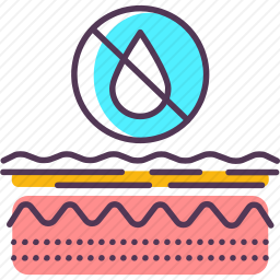 <em>皮肤</em>