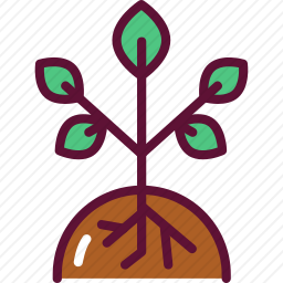 <em>植物</em>