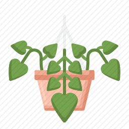 室内植物