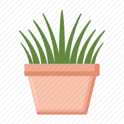 草