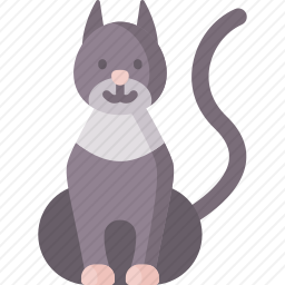 猫