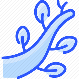 枝
