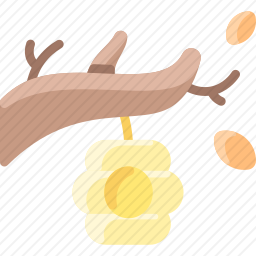 蜂窝