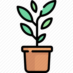 植物