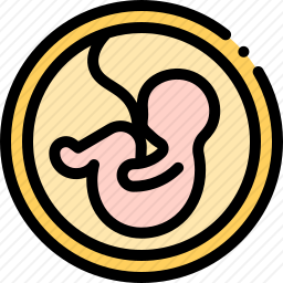 <em>fetus</em>