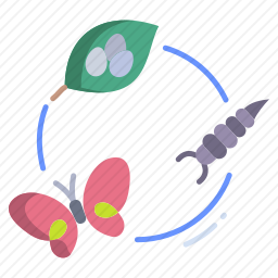 <em>蝴蝶</em>