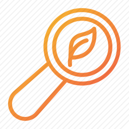 <em>放大镜</em>