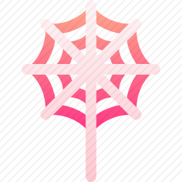 蜘蛛网
