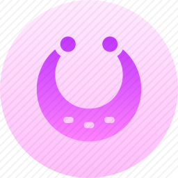 <em>项链</em>