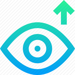 查看