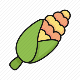 <em>玉米</em>