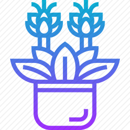 盆栽植物
