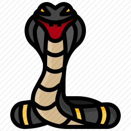 <em>蛇</em>