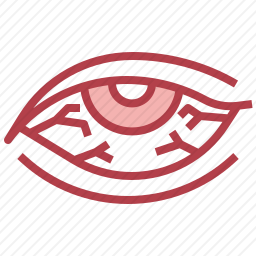 眼睛