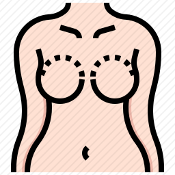 乳房