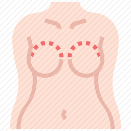 乳房