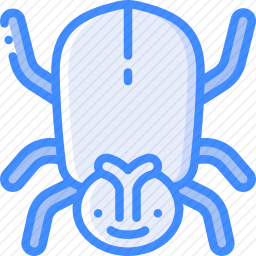 <em>甲虫</em>